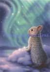 Aurora Bunny (image for) Aurora Bunny